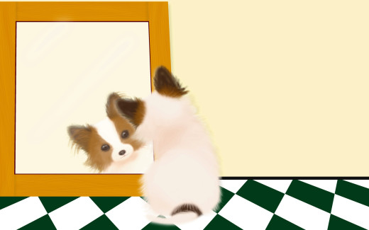 467816 (a): :1920x1200
